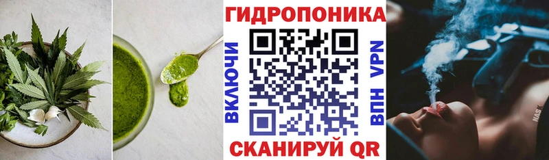 Canna-Cookies марихуана  площадка как зайти  Комсомольск 