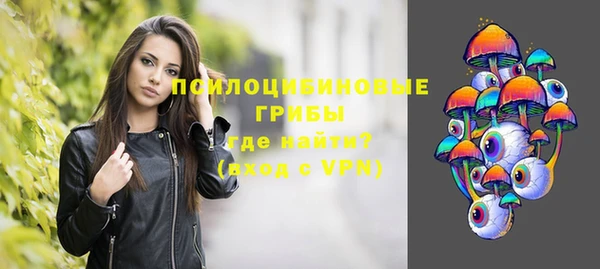 ПСИЛОЦИБИНОВЫЕ ГРИБЫ Михайловка