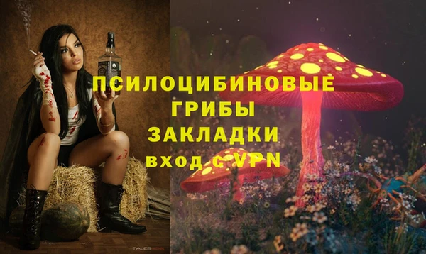 спайс Мегион