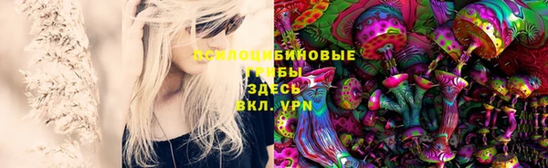 мескалин Михайлов