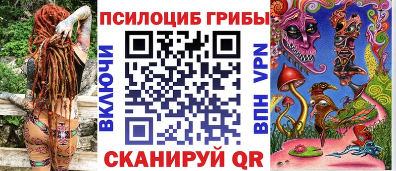 дарнет шоп  Комсомольск  Псилоцибиновые грибы Psilocybe 